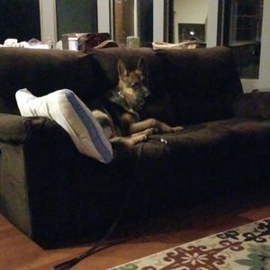 Meet your Posher, Suzanne